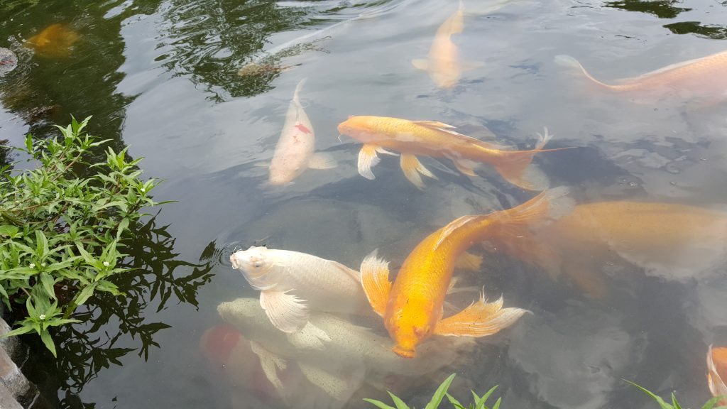 さいたま水族館